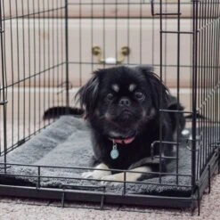 K&H Pet Products Self-Warming Pad -Dog Supplies Shop 100549 PT6. AC SS1800 V1614706884