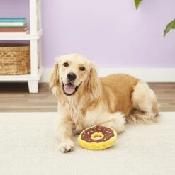 ZippyPaws Donutz Squeaky Plush No Stuffing Dog Toy -Dog Supplies Shop 104035 PT7. AC SS1800 V1523637318