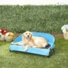 Gen7Pets Cool-Air Cot Elevated Dog Bed -Dog Supplies Shop 105020 MAIN. AC SS1800 V1566323739