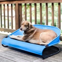 Gen7Pets Cool-Air Cot Elevated Dog Bed -Dog Supplies Shop 105020 PT3. AC SS1800 V1566323751