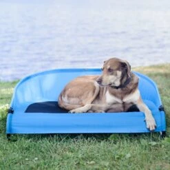 Gen7Pets Cool-Air Cot Elevated Dog Bed -Dog Supplies Shop 105020 PT4. AC SS1800 V1566323753