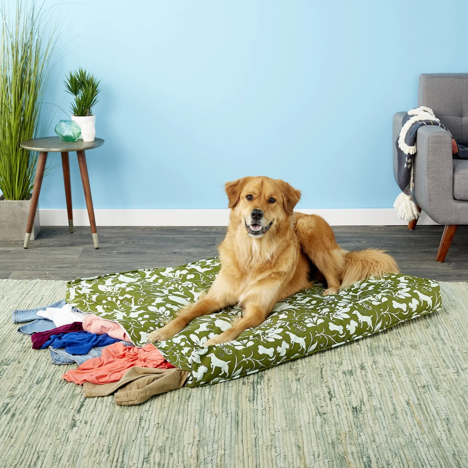 Molly Mutt Amarillo By Morning Square Dog Bed Duvet Cover 3 Molly Mutt Amarillo By Morning Square Dog Bed Duvet Cover