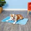 The Green Pet Shop Cool Pet Pad -Dog Supplies Shop 105747 MAIN. AC SS1800 V1567527680