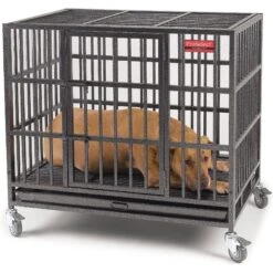 ProSelect Empire Single Door Steel Dog Crate 10 ProSelect Empire Single Door Steel Dog Crate -Dog Supplies Shop 108600 PT3. AC SS1800 V1480609321