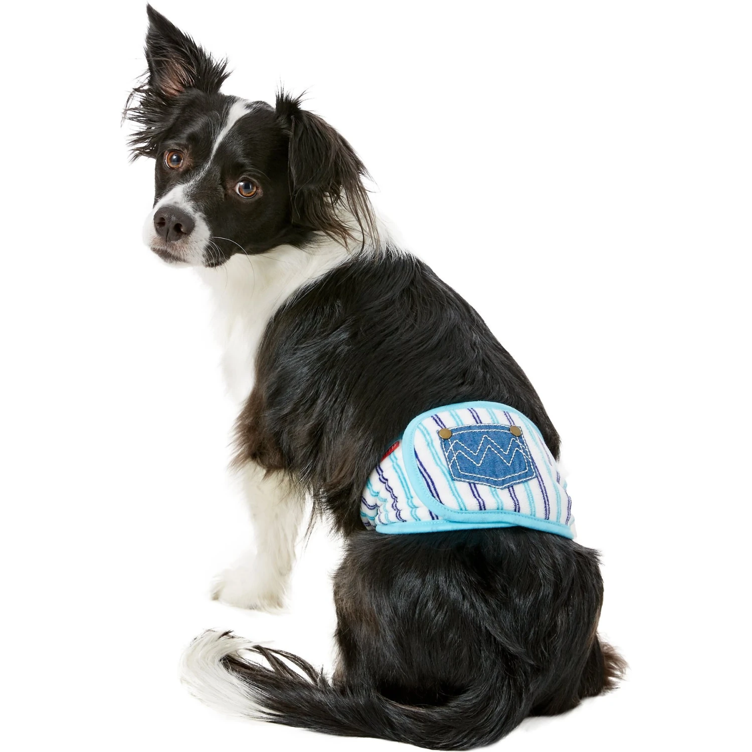 Alfie Pet Belly Band Washable Male Dog Wraps 5 Alfie Pet Belly Band Washable Male Dog Wraps - Image 3