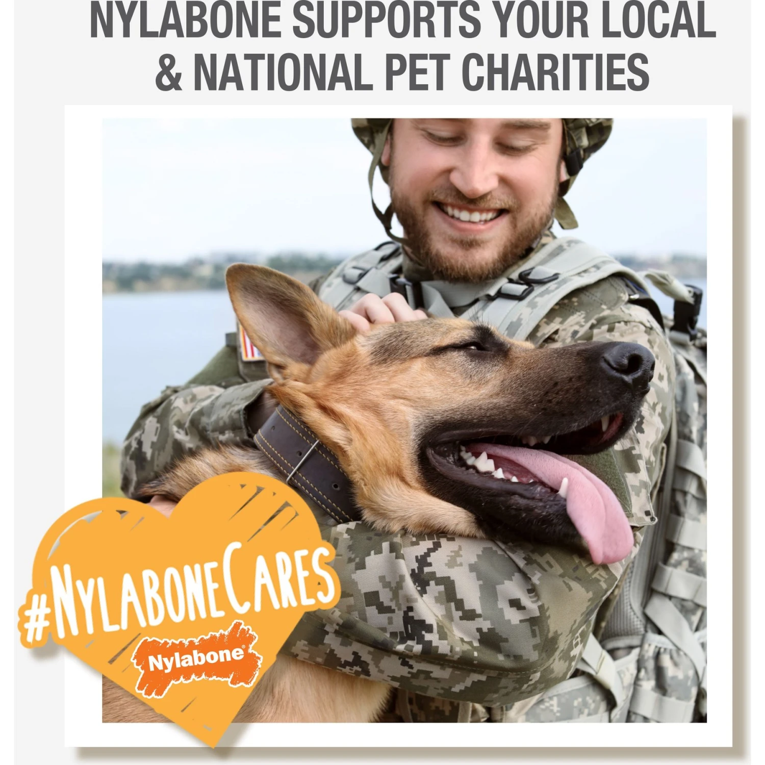 Nylabone DuraChew Flavor Frenzy Triple Pack BBQ Chicken, Corn On The Cob & Ice Cream Sundae Flavored Dog Chew Toy 8 Nylabone DuraChew Flavor Frenzy Triple Pack BBQ Chicken, Corn On The Cob & Ice Cream Sundae Flavored Dog Chew Toy - Image 6