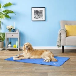 Arf Pets Self-Cooling Solid Gel Dog Crate Mat -Dog Supplies Shop 112038 PT3. AC SS1800 V1558556653