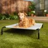 Frisco Steel-Framed Elevated Dog Bed 2 Frisco Steel-Framed Elevated Dog Bed -Dog Supplies Shop 112076 MAIN. AC SS1800 V1674156718