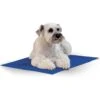 K&H Pet Products Coolin' Dog Mat -Dog Supplies Shop 113683 MAIN. AC SS1800 V1624628582
