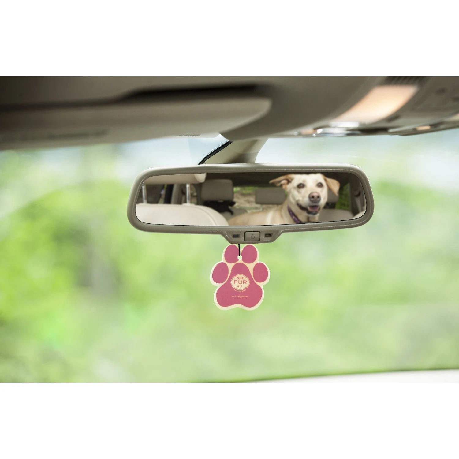 Pet House Vanilla Creme Brulee Car Air Freshener 4 Pet House Vanilla Creme Brulee Car Air Freshener - Image 2