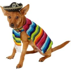 Rubie's Costume Company Serape Dog & Cat Costume