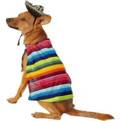 Rubie's Costume Company Serape Dog & Cat Costume 14 Rubie's Costume Company Serape Dog & Cat Costume -Dog Supplies Shop 117128 PT5. AC SS1800 V1539983912