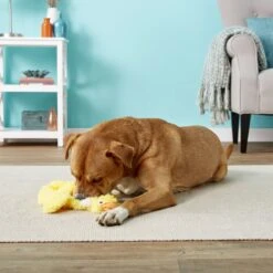 Doggles Plush Bottle Duck Dog Toy 8 Doggles Plush Bottle Duck Dog Toy -Dog Supplies Shop 118762 PT2. AC SS1800 V1554126457
