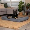 FurHaven Microvelvet Luxe Lounger Orthopedic Cat & Dog Bed With Removable Cover -Dog Supplies Shop 127544 MAIN. AC SS1800 V1698695353