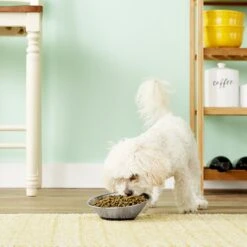 OurPets Tilt-A-Bowl Rubber-Bonded Stainless Steel Dog Bowl -Dog Supplies Shop 129773 PT1. AC SS1800 V1543337248