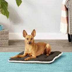 Dog Gone Smart Sleeper Cushion Dog Crate Mat -Dog Supplies Shop 130276 PT2. AC SS1800 V1558454911