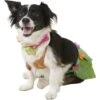 Rubie's Costume Company Hula Girl Dog & Cat Costume 2 Rubie's Costume Company Hula Girl Dog & Cat Costume -Dog Supplies Shop 130390 MAIN. AC SS1800 V1539117581