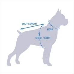 Rubie's Costume Company Hula Girl Dog & Cat Costume -Dog Supplies Shop 130390 PT8. AC SS1800 V1541183724