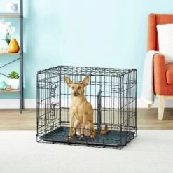 Paws & Pals Oxgord Double Door Collapsible Wire Dog Crate -Dog Supplies Shop 132943 PT4. AC SS1800 V1562187138