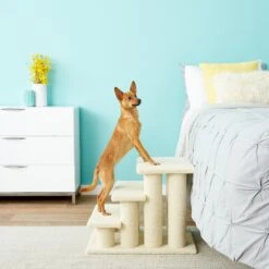 Frisco 18.5 Or 24.5 Inch 2-in-1 Cat & Dog Stairs 15 Frisco 18.5 Or 24.5 Inch 2-in-1 Cat & Dog Stairs -Dog Supplies Shop 140154 PT6. AC SS1800 V1584453442