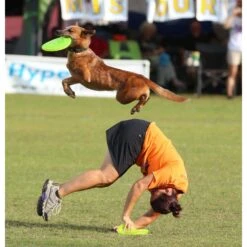 Hyperflite Jawz Disc -Dog Supplies Shop 140803 PT4. AC SS1800 V1518451857