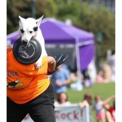 Hyperflite Jawz Disc -Dog Supplies Shop 140803 PT5. AC SS1800 V1523643088