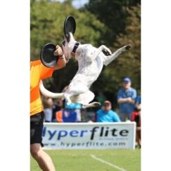 Hyperflite Jawz Disc -Dog Supplies Shop 140803 PT6. AC SS1800 V1523642994