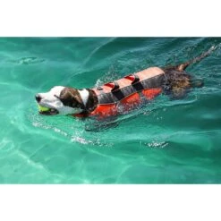 Frisco Ripstop Dog Life Jacket -Dog Supplies Shop 140919 PT8. AC SS1800 V1540476454
