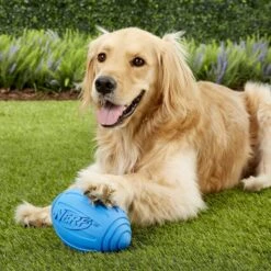 Nerf Dog Ridged Squeak Football Dog Toy, Large -Dog Supplies Shop 142901 PT1. AC SS1800 V1554127166