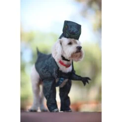 California Costumes Pupasaurus Rex Dog & Cat Costume -Dog Supplies Shop 143317 PT3. AC SS1800 V1567184028