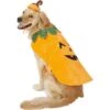 Frisco Pumpkin Dog & Cat Costume -Dog Supplies Shop 144446 MAIN. AC SS1800 V1540495184