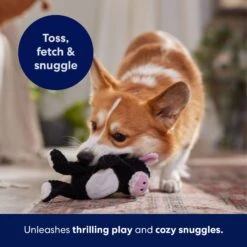 Frisco Cow Textured Plush Squeaky Dog Toy -Dog Supplies Shop 147059 PT5. AC SS1800 V1691776636