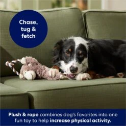 Frisco Monkey Plush With Rope Squeaky Dog Toy -Dog Supplies Shop 147067 PT4. AC SS1800 V1686079871