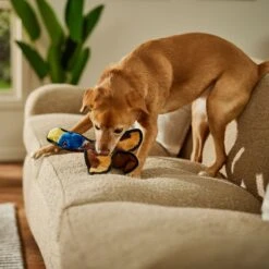 Frisco Duck Flat Plush Squeaky Dog Toy -Dog Supplies Shop 147069 PT3. AC SS1800 V1674158058