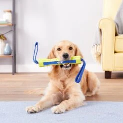 Nerf Dog Nylon & Foam Mega Tuff Fabric Competition Stick Dog Toy -Dog Supplies Shop 148508 PT1. AC SS1800 V1545252463