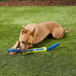 Nerf Dog Nylon & Foam Mega Tuff Fabric Competition Stick Dog Toy -Dog Supplies Shop 148508 PT2. AC SS1800 V1545252470