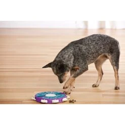 Nina Ottosson By Outward Hound Twister Puzzle Game Dog Toy -Dog Supplies Shop 148598 PT6. AC SS1800 V1636514895