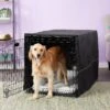 MidWest ICrate Double Door Collapsible Wire Dog Crate Kit -Dog Supplies Shop 150532 MAIN. AC SS1800 V1575905015