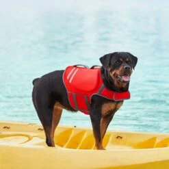 Frisco Neoprene Dog Life Jacket -Dog Supplies Shop 152465 PT7. AC SS1800 V1631058734