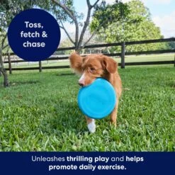 Frisco Fetch Rubber Flyer Dog Toy 8 Frisco Fetch Rubber Flyer Dog Toy -Dog Supplies Shop 152848 PT5. AC SS1800 V1692370079