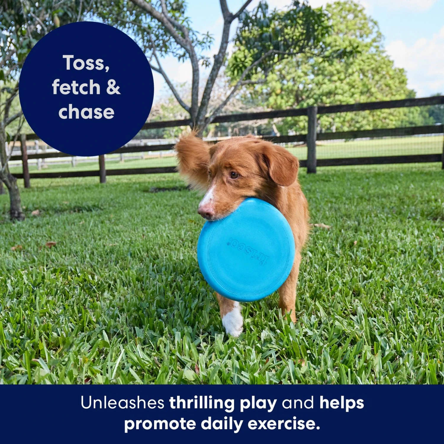Frisco Fetch Rubber Flyer Dog Toy 5 Frisco Fetch Rubber Flyer Dog Toy - Image 3