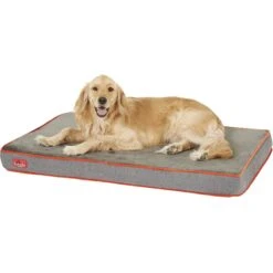 Brindle Waterproof Orthopedic Pillow Cat & Dog Bed With Removable Cover -Dog Supplies Shop 154096 PT3. AC SS1800 V1566419949