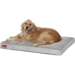 Brindle Soft Orthopedic Pillow Cat & Dog Bed With Removable Cover -Dog Supplies Shop 154111 PT3. AC SS1800 V1566420250