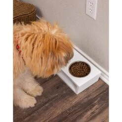 Internet's Best Modern Elevated Dog & Cat Bowls 11 Internet's Best Modern Elevated Dog & Cat Bowls -Dog Supplies Shop 154379 PT4. AC SS1800 V1540502048