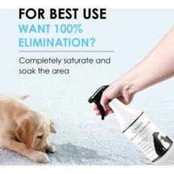 NonScents Pet Odor & Stain Remover Spray -Dog Supplies Shop 154802 PT4. AC SS1800 V1552074118