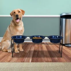 Platinum Pets Modern Triple Diner Elevated Wide Rimmed Dog & Cat Bowl -Dog Supplies Shop 155508 PT4. AC SS1800 V1628181087