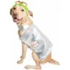Pet Krewe Sesame Street Oscar The Grouch Dog & Cat Costume 1 Pet Krewe Sesame Street Oscar The Grouch Dog & Cat Costume -Dog Supplies Shop 157703 MAIN. AC SS1800 V1564670312