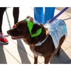 Pet Krewe Sesame Street Oscar The Grouch Dog & Cat Costume -Dog Supplies Shop 157703 PT6. AC SS1800 V1599277268