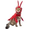 Frisco Red Lobster Dog & Cat Costume -Dog Supplies Shop 158723 MAIN. AC SS1800 V1659023206