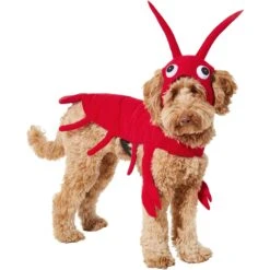Frisco Red Lobster Dog & Cat Costume -Dog Supplies Shop 158723 PT2. AC SS1800 V1659023725